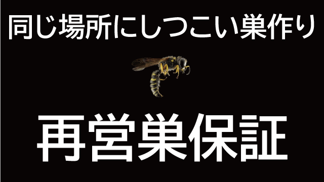 同じ場所へのしつこい巣作り対策に再営巣保証