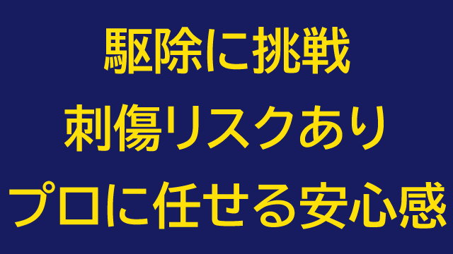 駆除に挑戦は刺傷リスクがあります。プロに任せれば安心感です。